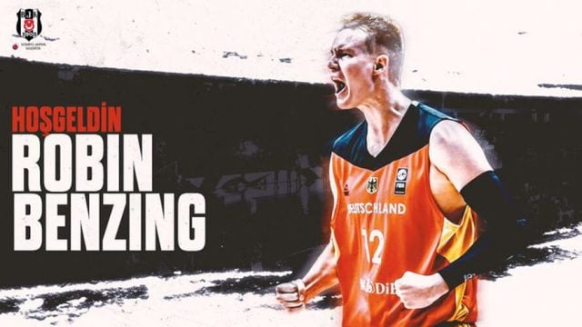 robin-beizing