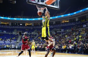 Jan Vesely