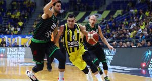 fenerbahce-beko-darussafaka-tekfen