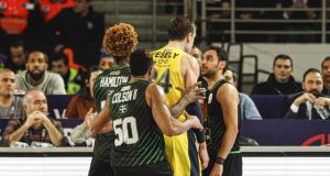 jan-vesely-jhonny-hamilton