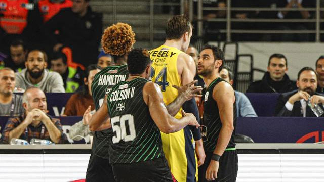 jan-vesely-jhonny-hamilton