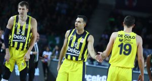 decolo-vesely-1