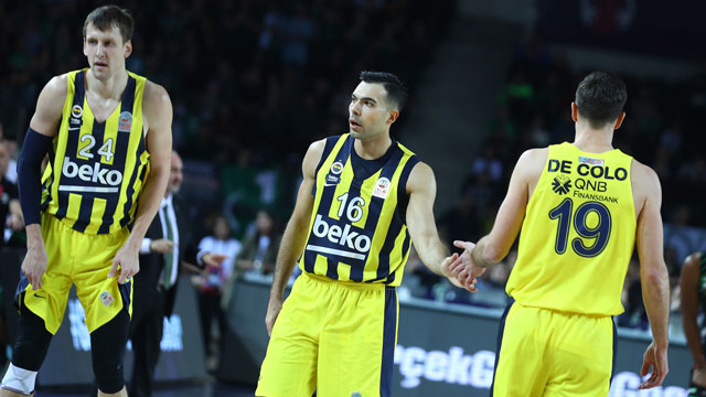 decolo-vesely-1